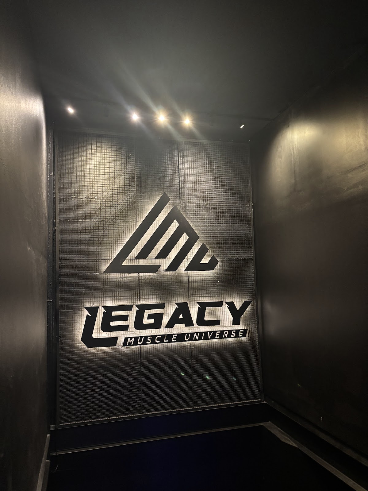 Legacy Muscle Universe - Photo 5