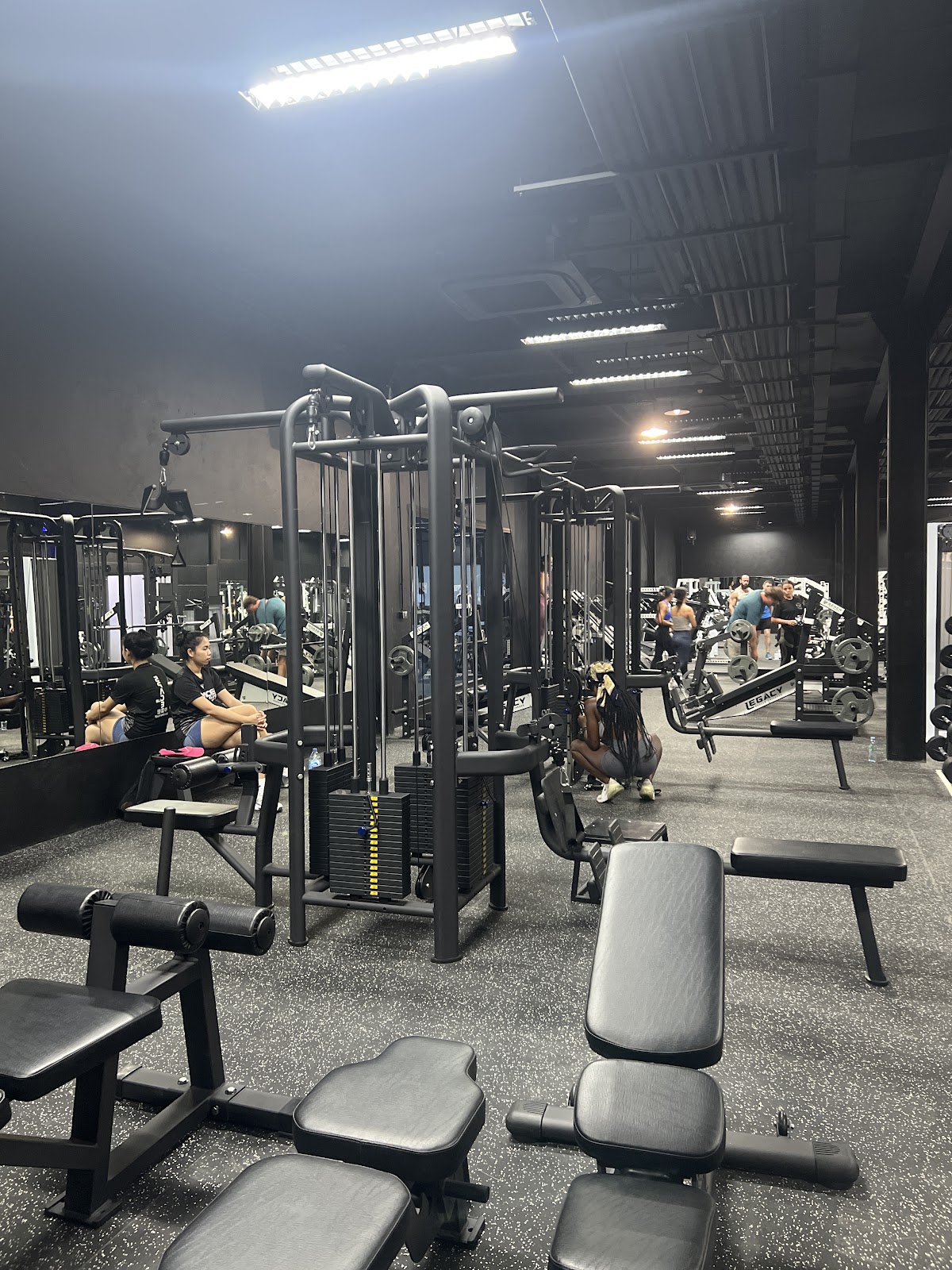 Legacy Muscle Universe - Photo 3