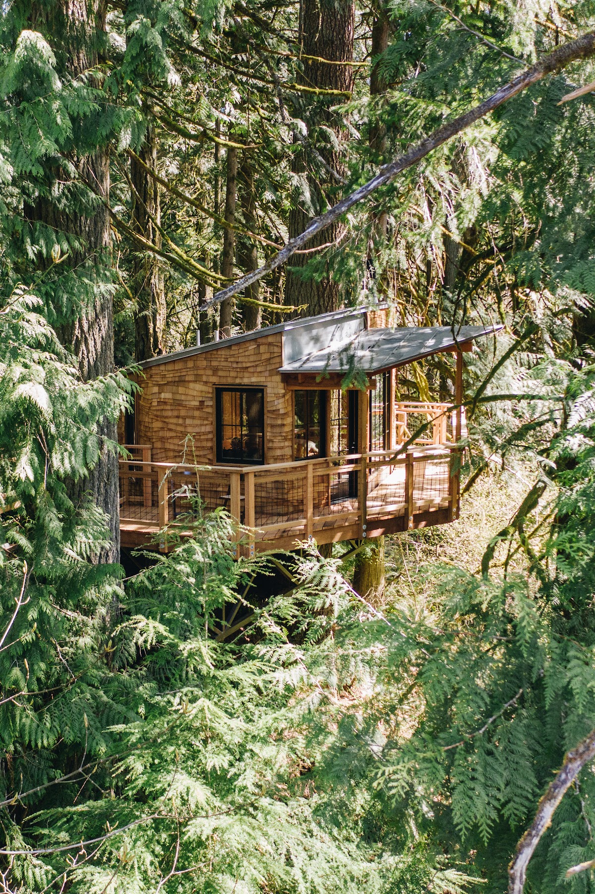 TreeHouse Point: Google Places image 4