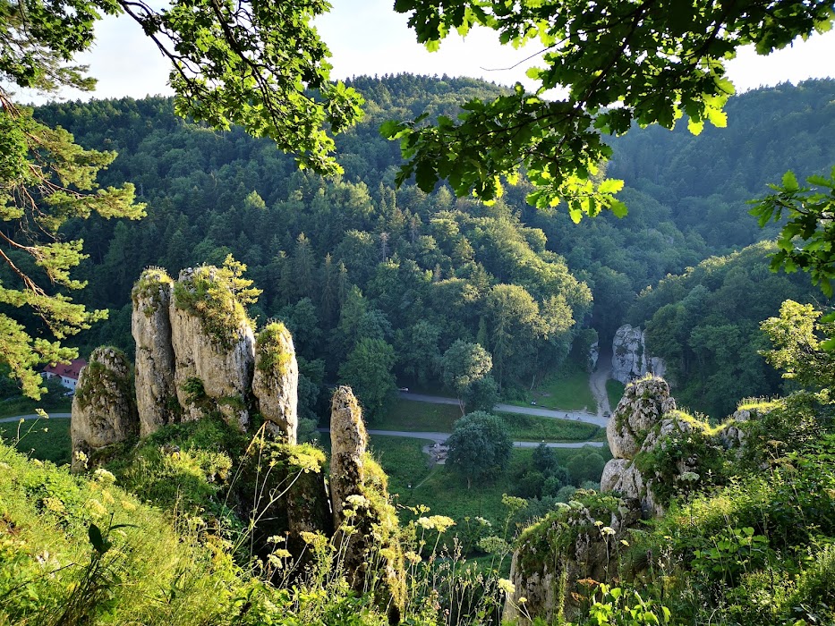 Ojcowski National Park fotoğraf 1