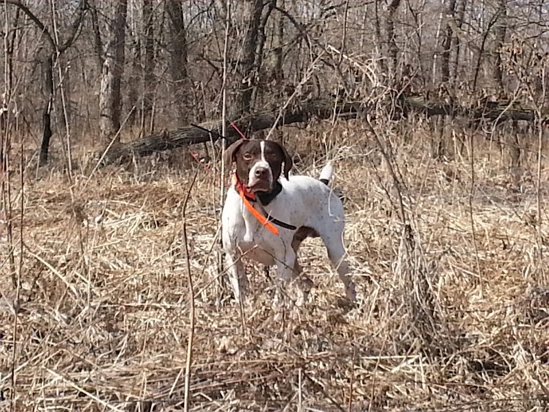 Doc's Hunt Club - Photo 1