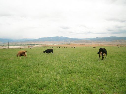 Redmond Heritage Farm Store photo 2