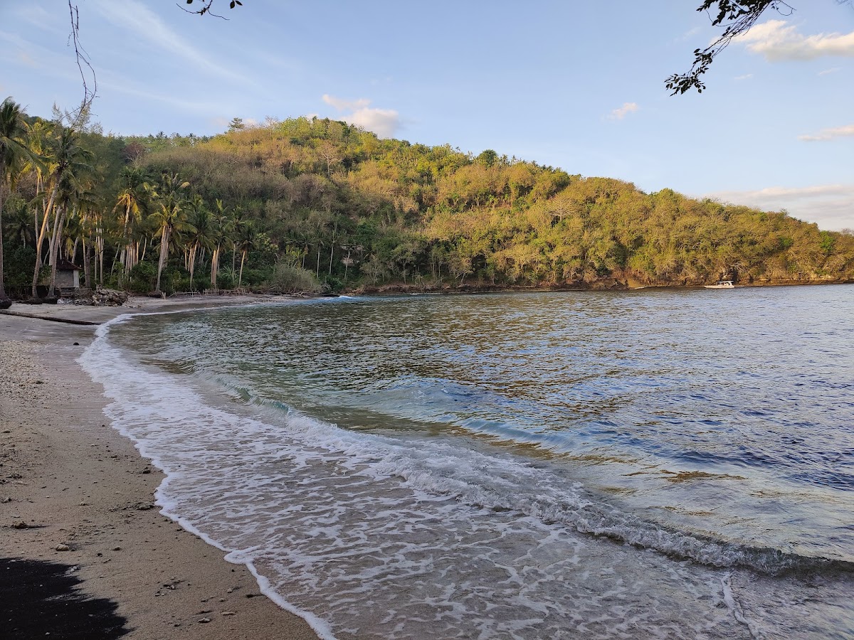 Gamat Bay