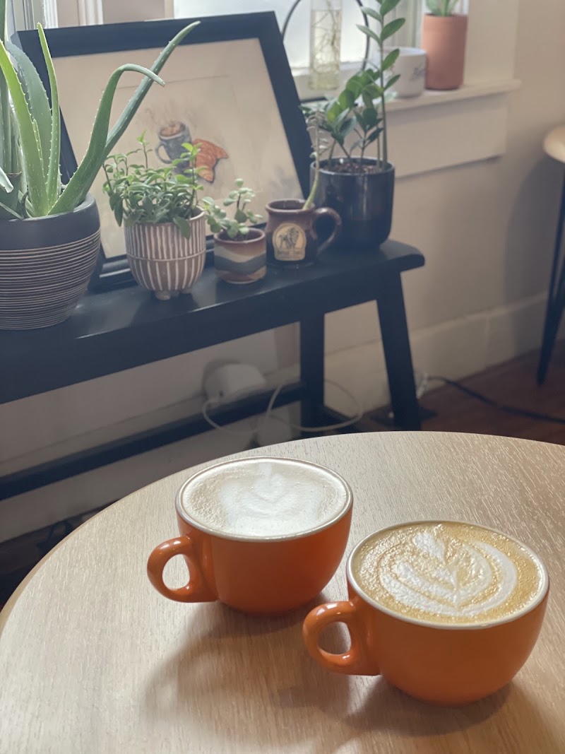 Kinnor Coffee & Cocktails photo 4