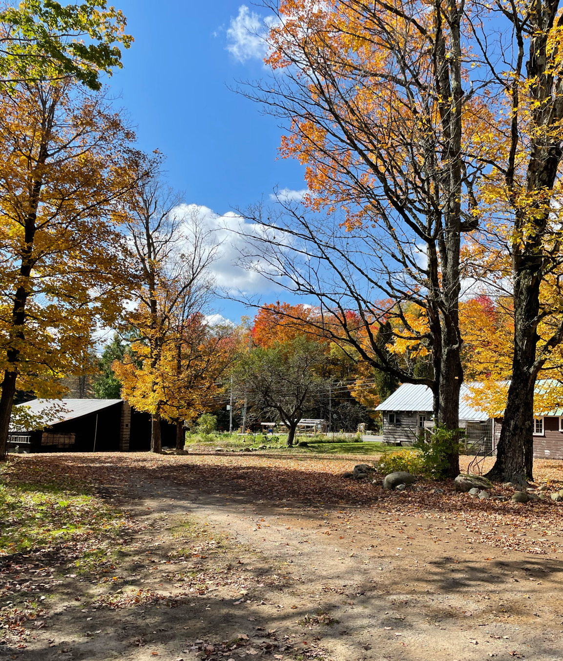 Adirondack Acres Game Farm