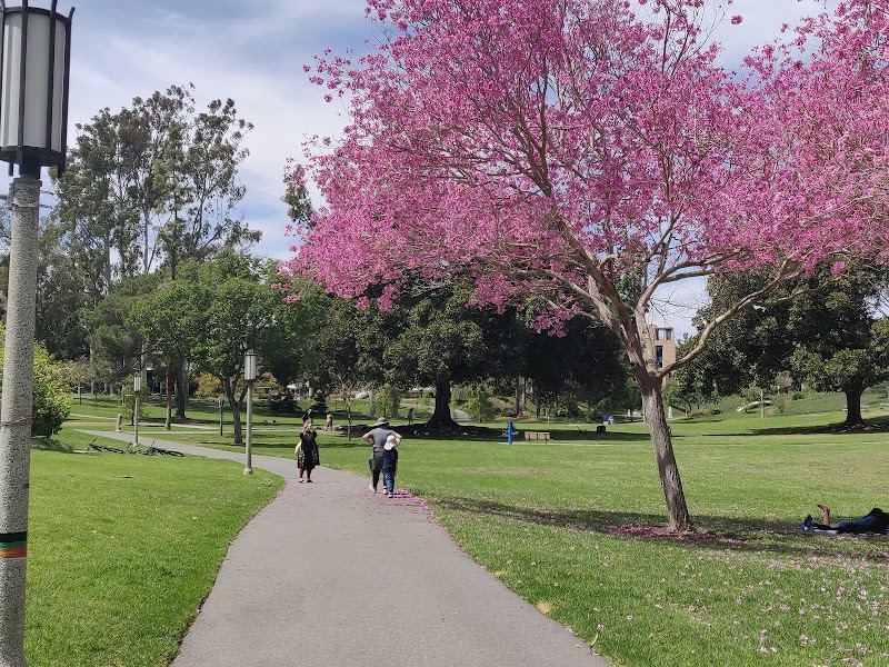 Aldrich Park photo 2