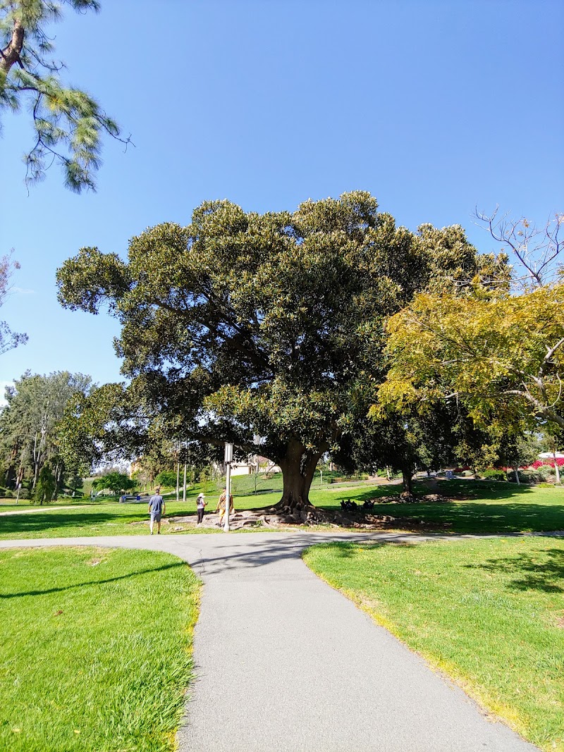 Aldrich Park photo 4