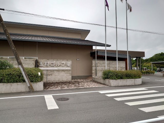 Tamamura Golf Course - Photo 4