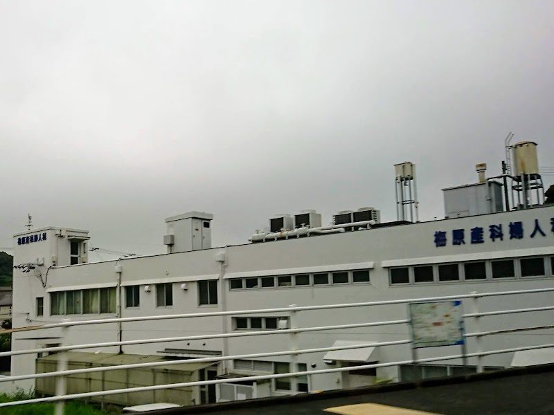 中山レディースクリニックの外観