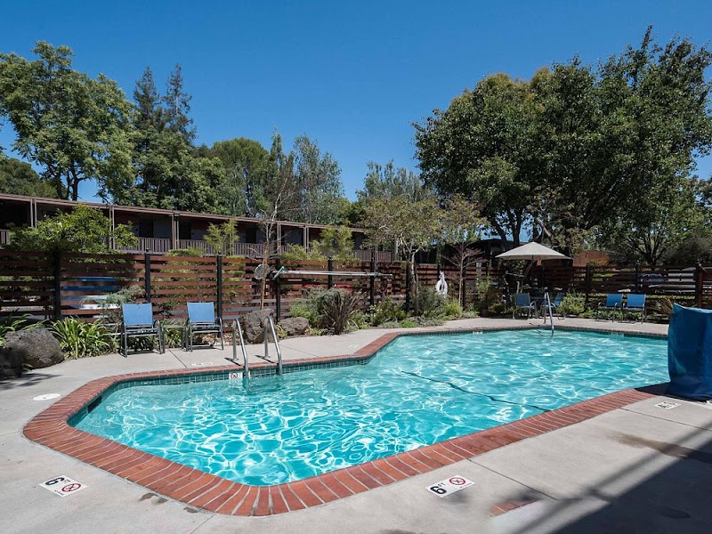 Garden and outdoor pool