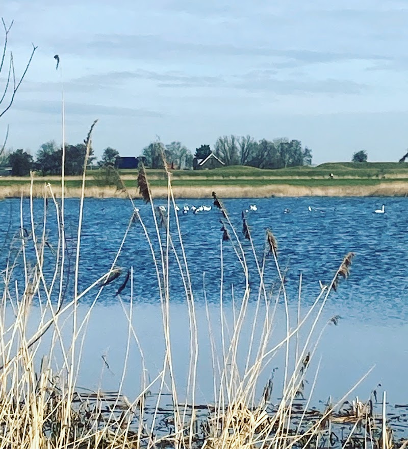 Waverhoek