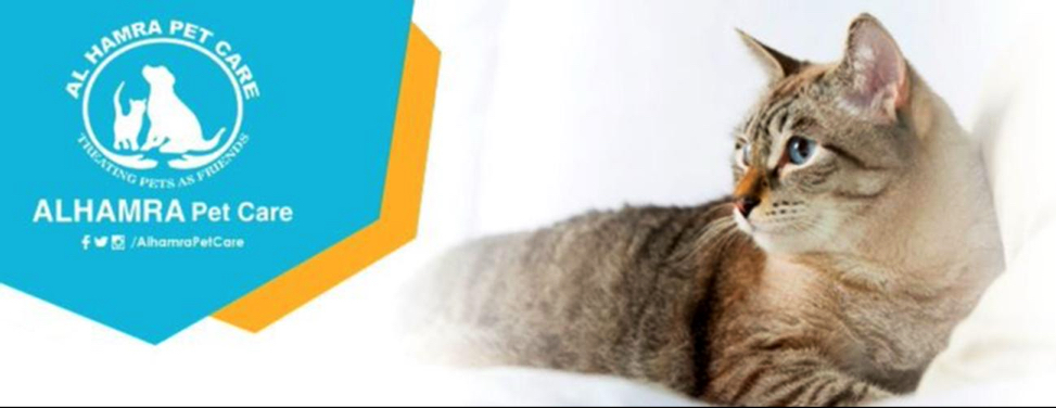 عيادة الحمراء لرعاية الحيوان