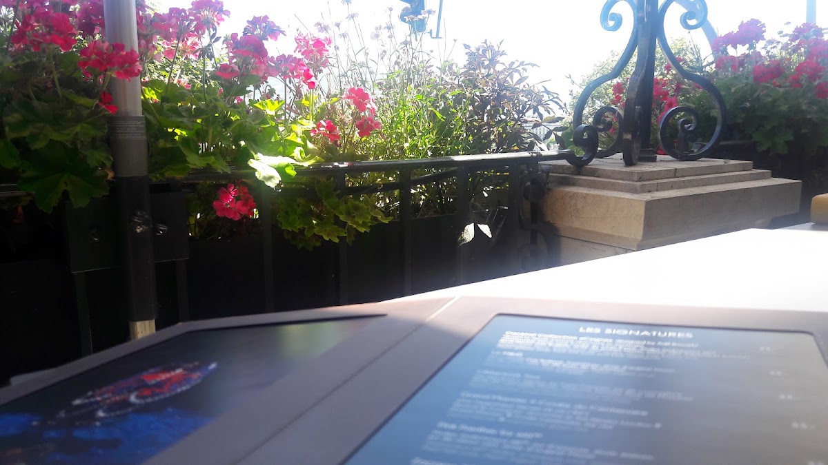 Beau-Rivage Genève, dog-friendly hotel, photo 2