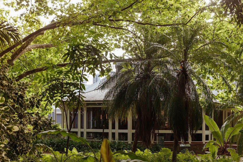 Restaurant Botanic photo 4