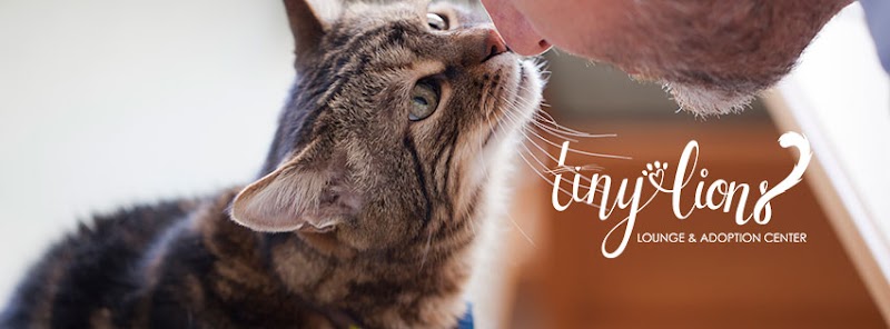 Tiny Lions Lounge & Adoption Center