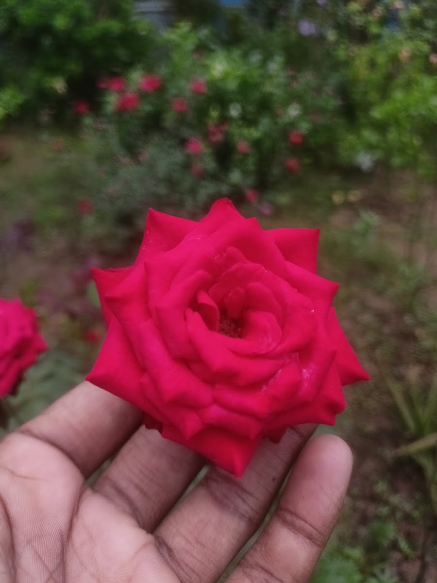Shubhradip Sarkar's house photo 5