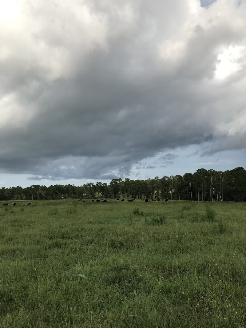 Quailridge Plantation - Photo 6