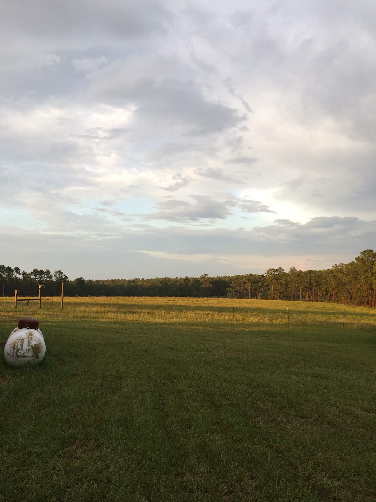 Quailridge Plantation