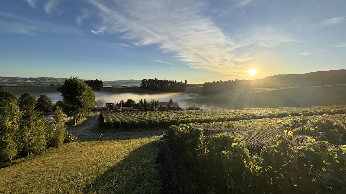 Bell Hill Vineyard & Winery