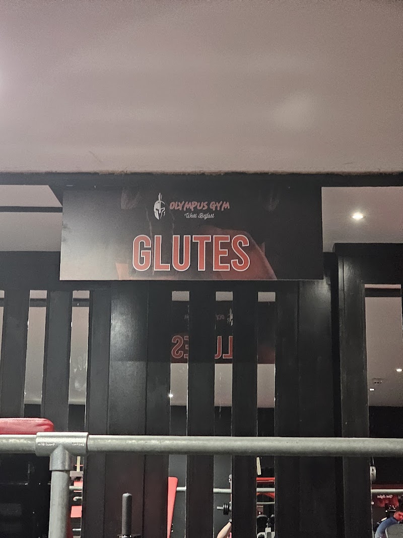 Olympus gym west belfast