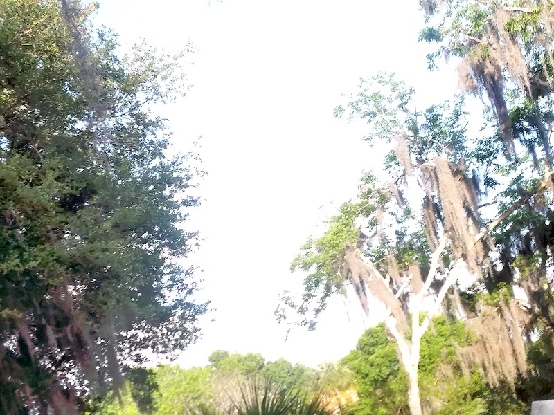 The Ranch at Melagrano - Photo 5