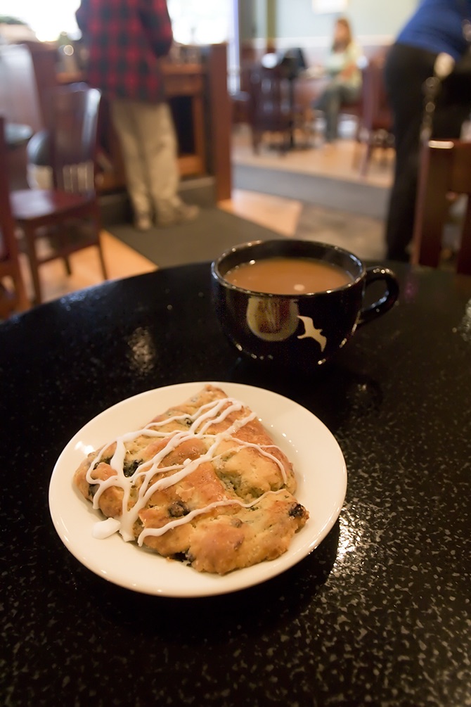 Lone Gull Coffee House photo 2