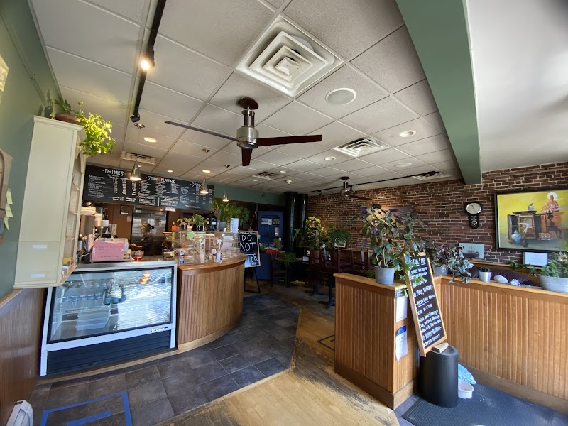 Lone Gull Coffee House photo 1