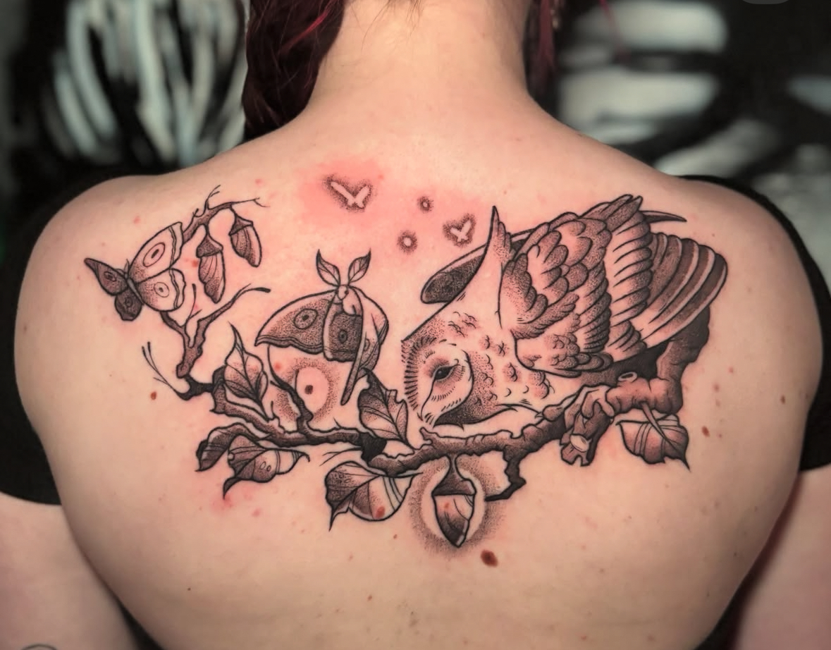 Fury 13 Tattoo — tattoo studio near Alexandria