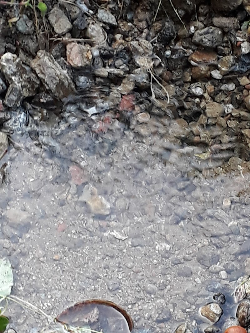 밤바위산 사진 2