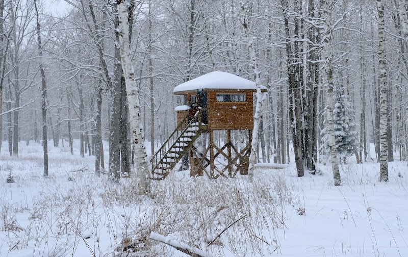 Paradise Trophy Ranch - Photo 3