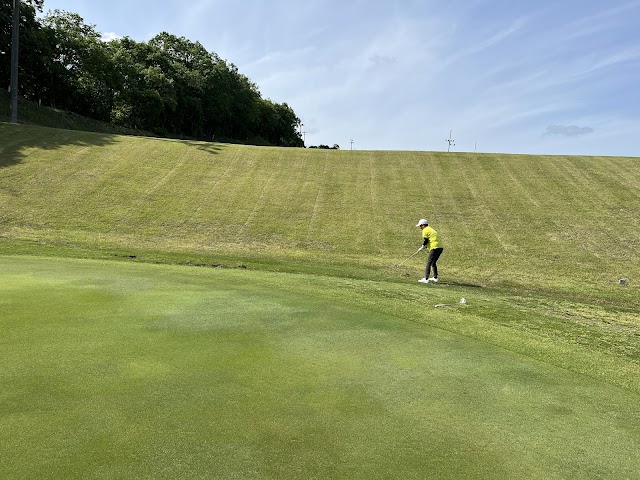 Shoji Golf Club (18H Par 60) - Photo 4