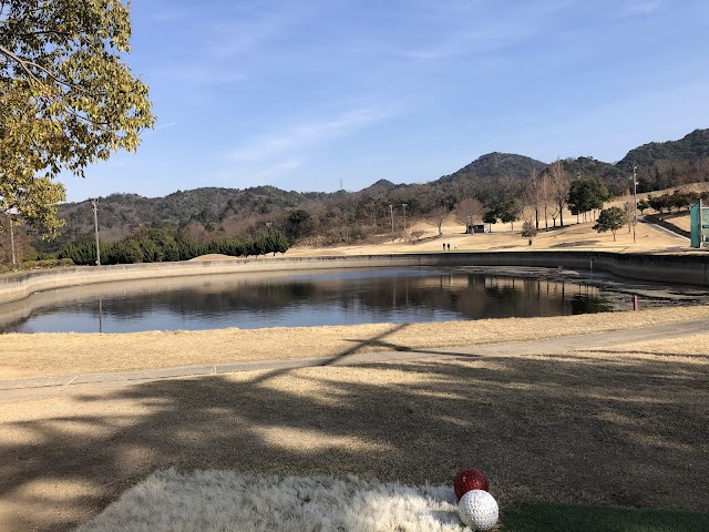 Shoji Golf Club (18H Par 60) - Photo 7