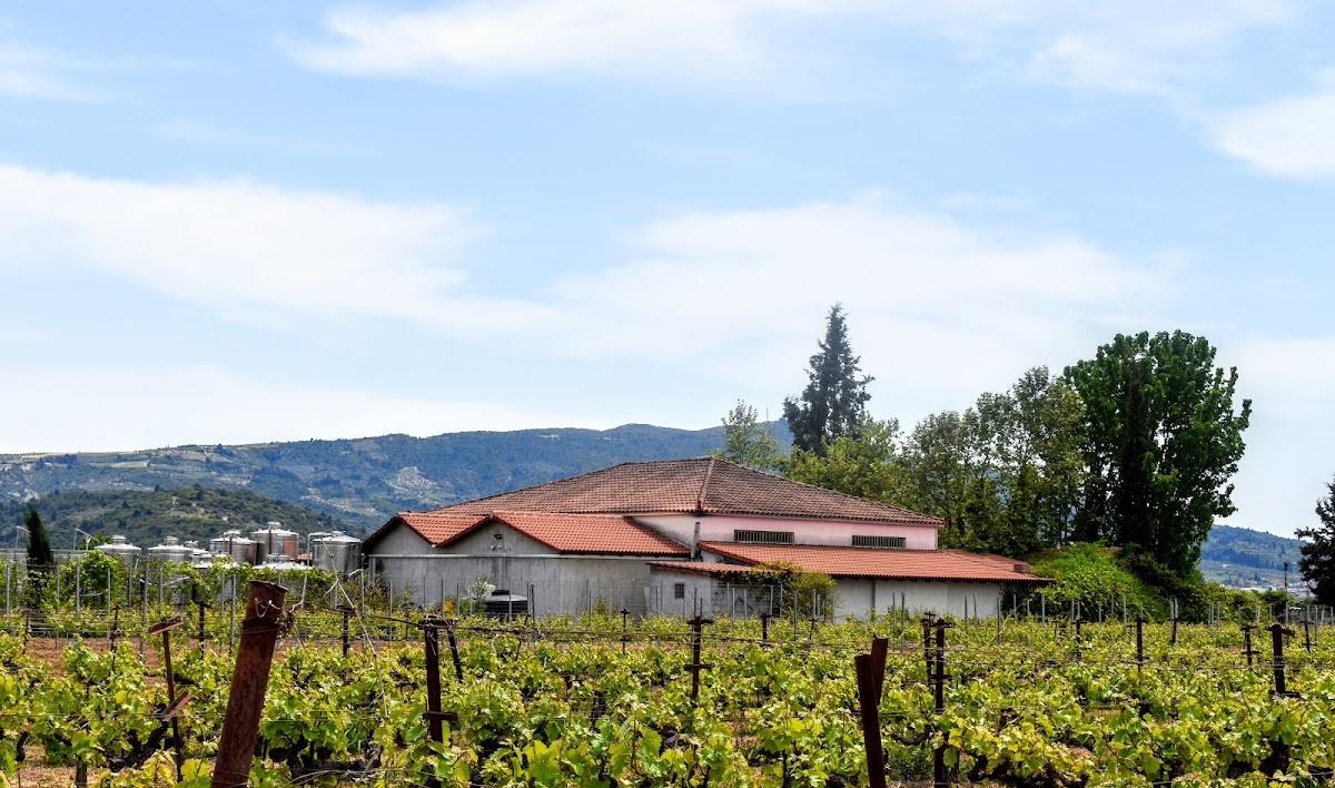 Aivalis Winery