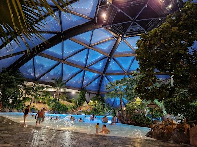 Subtropical Swimming Paradise