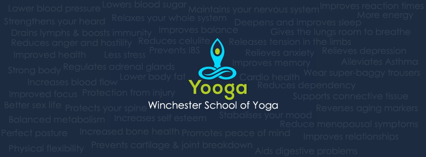 Yooga Carmarthenshire School of Yoga — 3