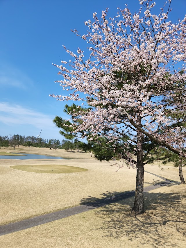 Nakajo Golf Club - Photo 7