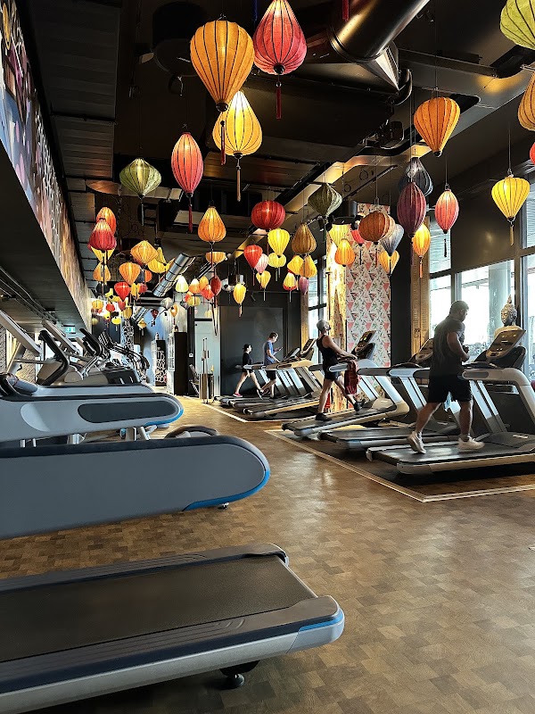 McFIT Politecnico