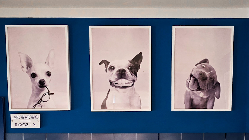 Centro Veterinario Equus Can