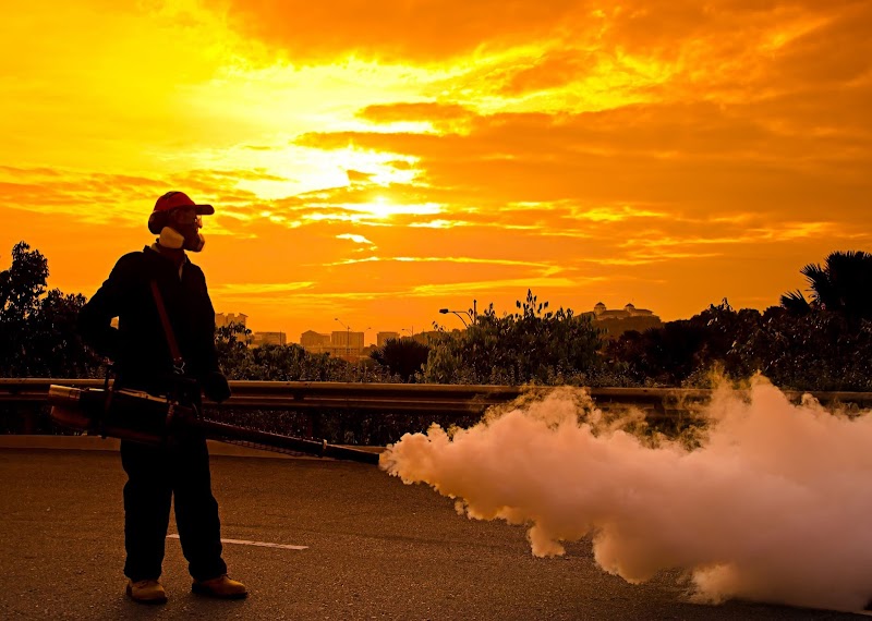 INSA.des Residuos photo 1