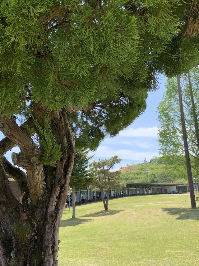 Eight Golf Garden - Photo 8