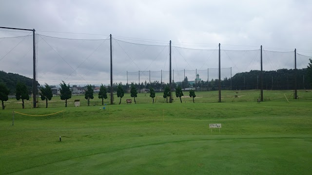 Eight Golf Garden - Photo 7