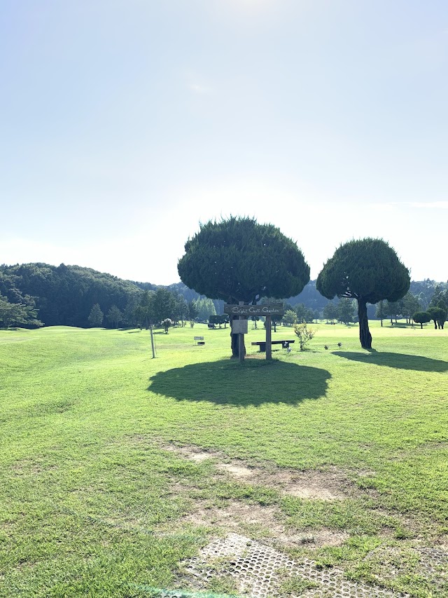 Eight Golf Garden - Photo 6