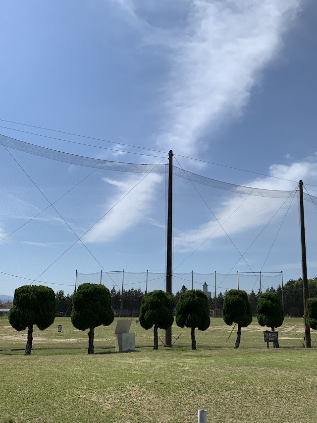 Eight Golf Garden - Photo 5