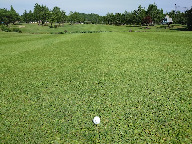 Eight Golf Garden - Photo 1