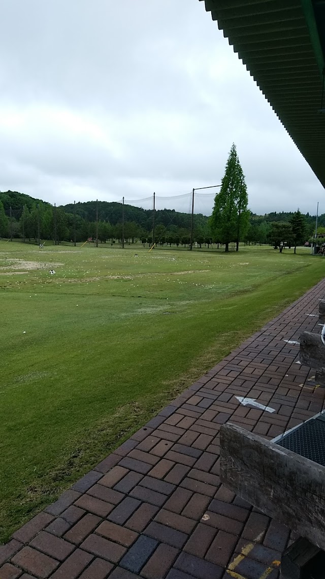 Eight Golf Garden - Photo 2