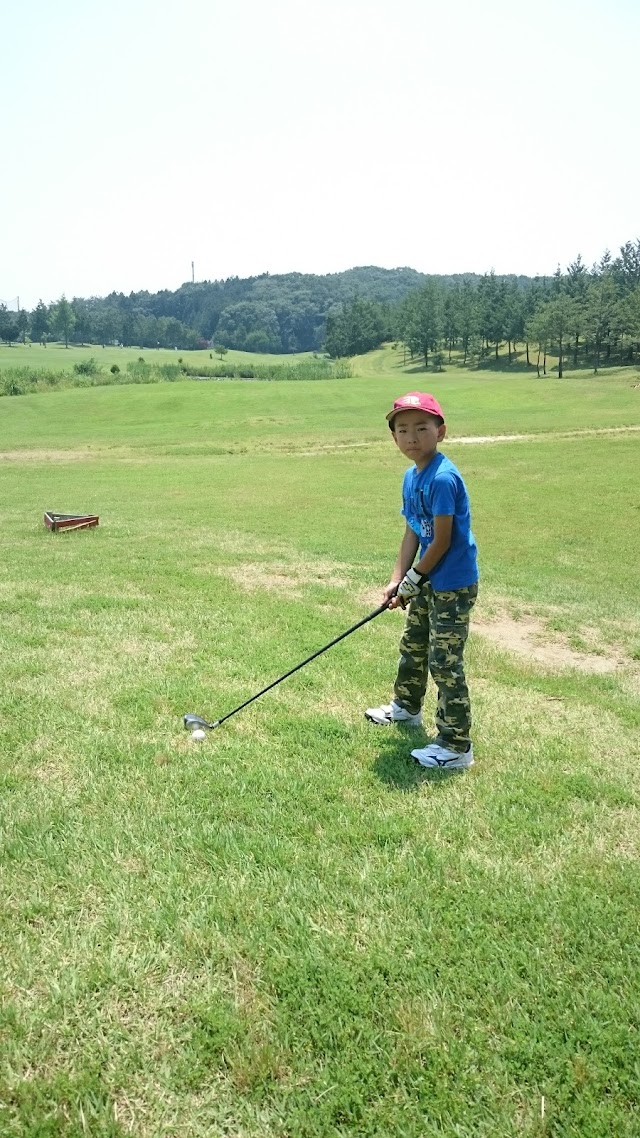 Eight Golf Garden - Photo 9
