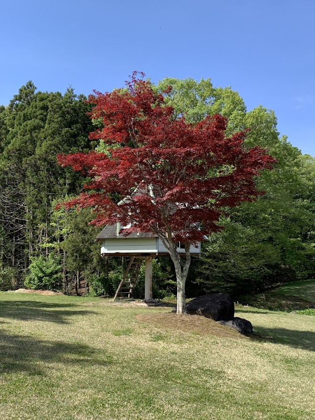 Eight Golf Garden - Photo 4