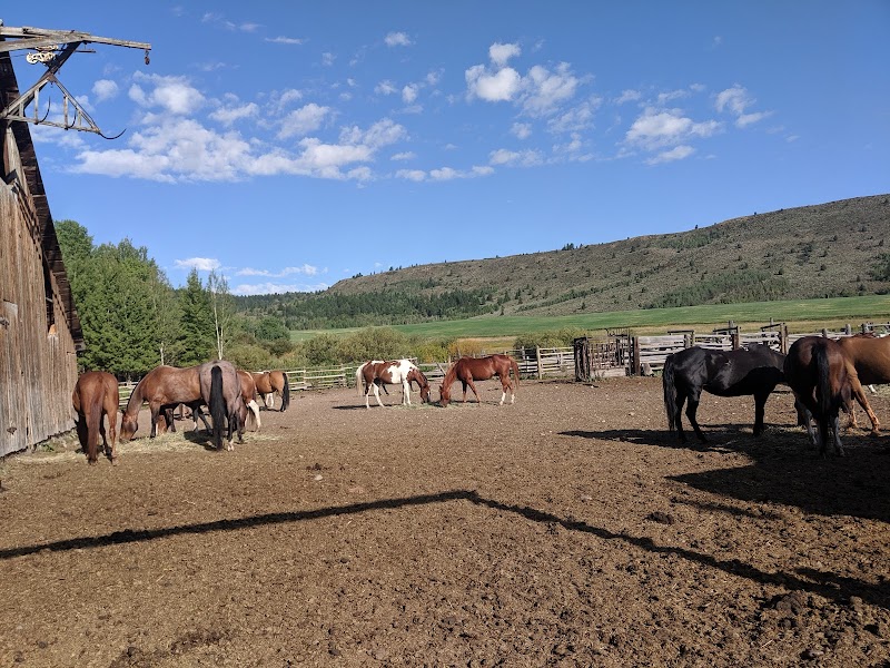 Granite Creek Guest Ranch - Photo 4