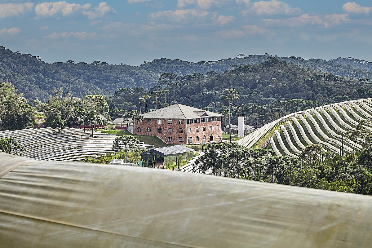 Vinicola Ferreira - Mesa de Pedra