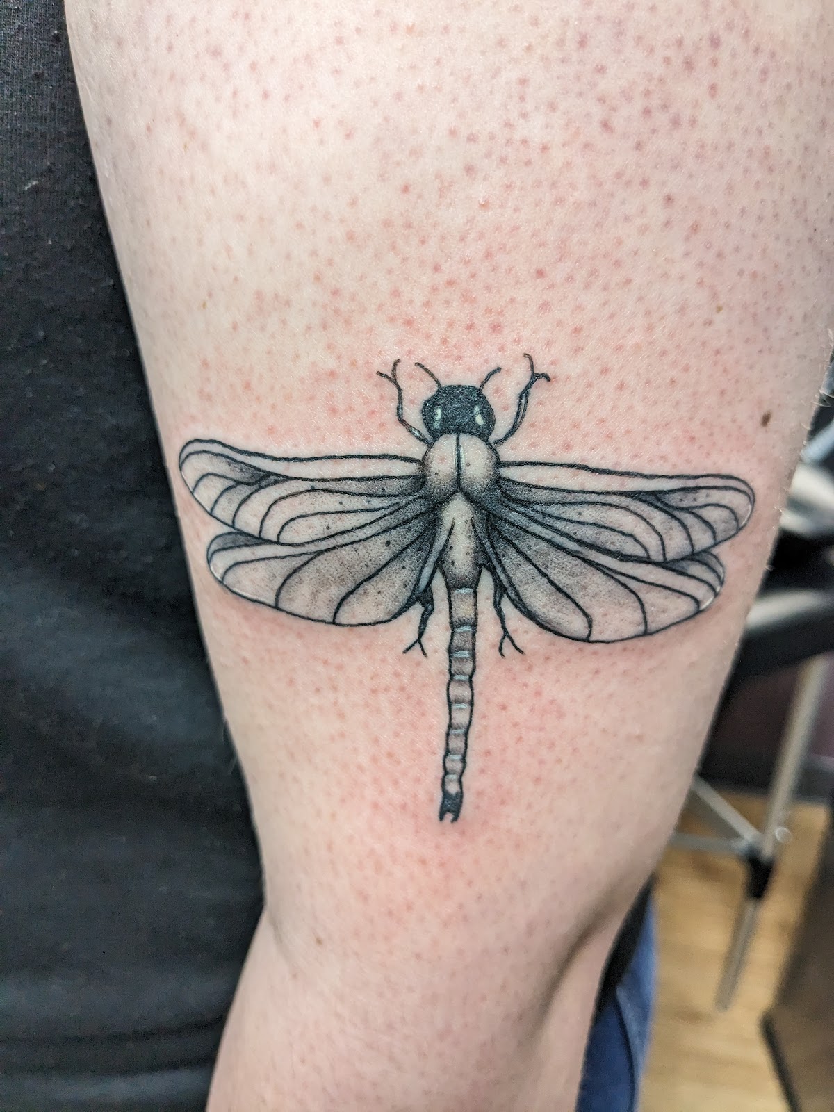 BunnyBonesTattoos tattoo parlor in Joliet, IL